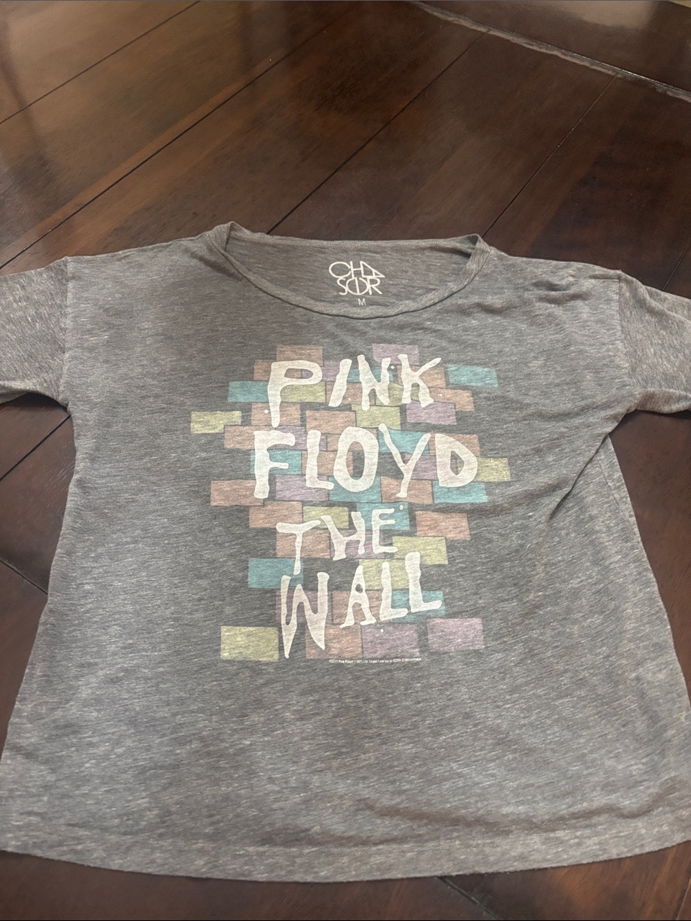 Chaser Gray Pink Floyd The Wall Graphic Tee with Pastel Accents